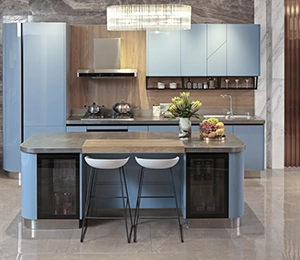 Modern Style Lacquer Stainless Steel Kitchen Design with Kitchen Island