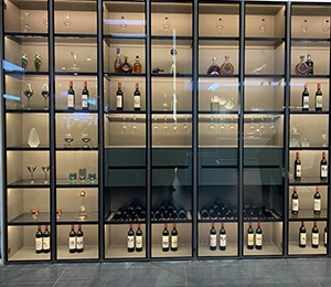 2021 New Launched Wine Cabinet